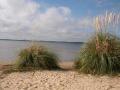Beach lake